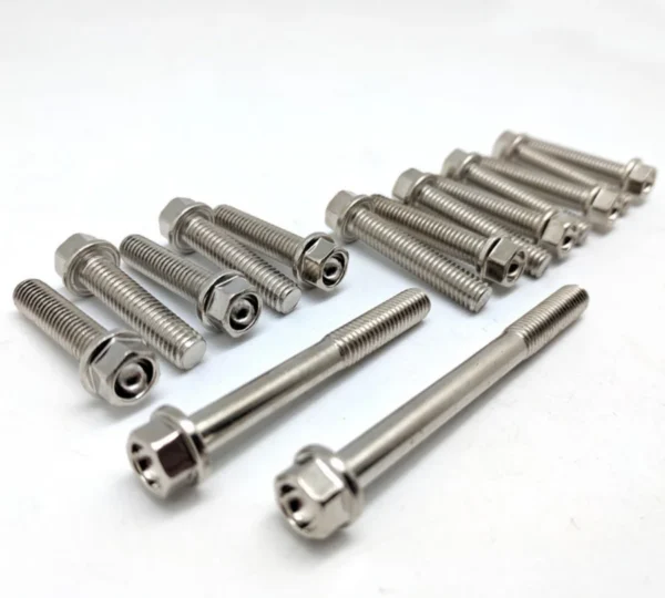 Banshee Restoration Bolt Fastener Kit - Image 2