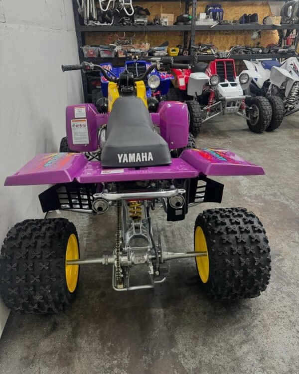 1995 Banshee With Title For Sale - Image 5