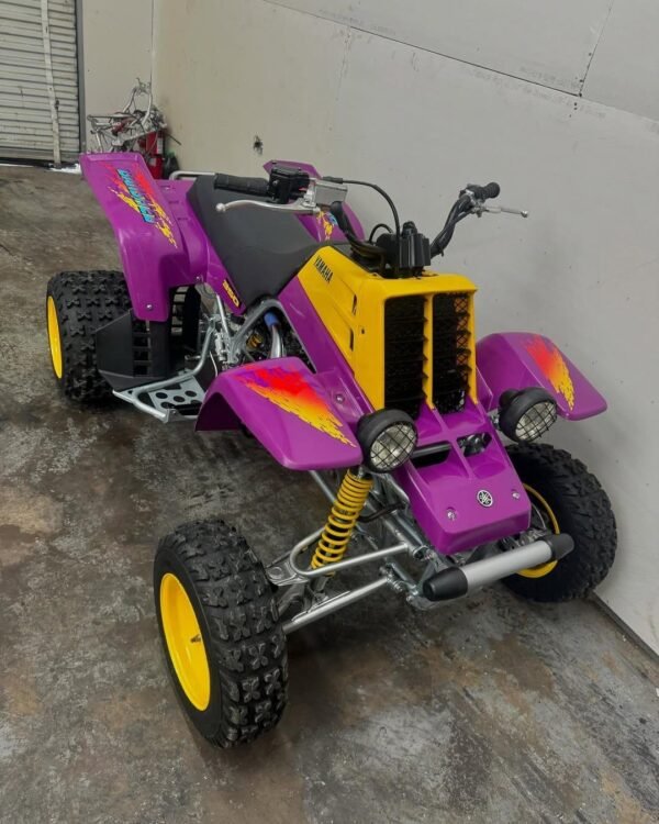 1995 Banshee With Title For Sale - Image 6