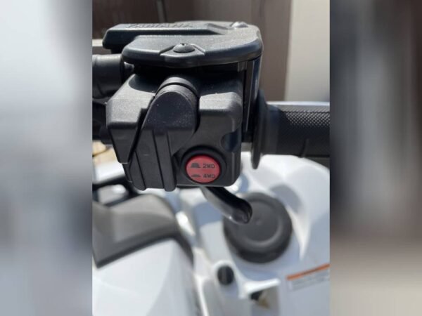 2020 Yamaha Recreation/Utility GRIZZLY 700 - Image 2