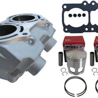 Cheetah Cub Cylinder