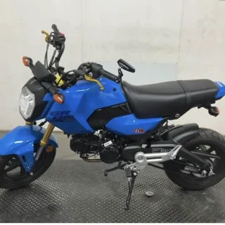 2025 HONDA GROM