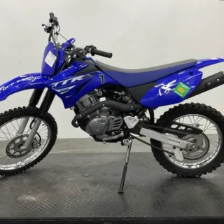 2025 YAMAHA TT-R125LE