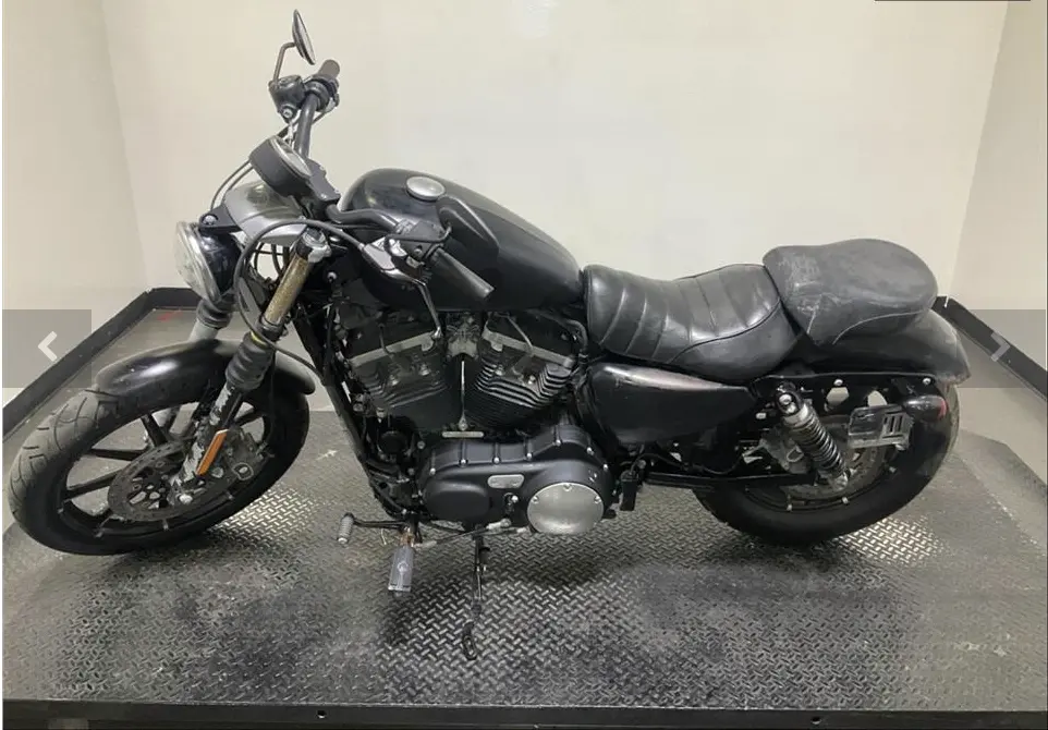 2019 HARLEY-DAVIDSON XL883N IRON